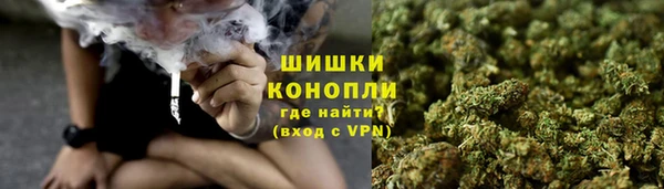 трава Алагир