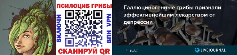 Псилоцибиновые грибы ЛСД  Купить закладки  Аксай 